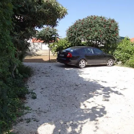 Mara Trogir